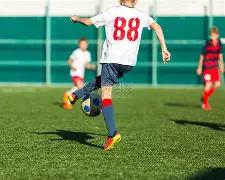 巴西足协迎,来新主席,萨米尔,开云体育,开云体育官网,开云体育app,开云体育平台,KAIYUN,SPORTS,kaiyun登录入口