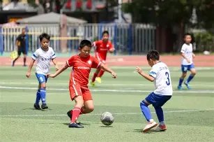 乡野风情在,农博会,现代演绎的,开云体育,开云体育官网,开云体育app,开云体育平台,KAIYUN,SPORTS,kaiyun登录入口