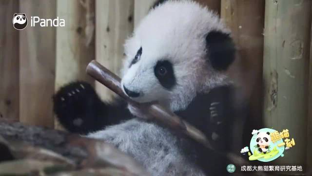 新能源车停车难题破解攻略开云体育App官网：车宽人难出的解决方案