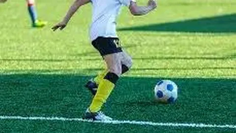 AI萌宠挑战多项目竞技：跳水、射击、篮球、足球，每日十分钟挑战，附详尽提示词库