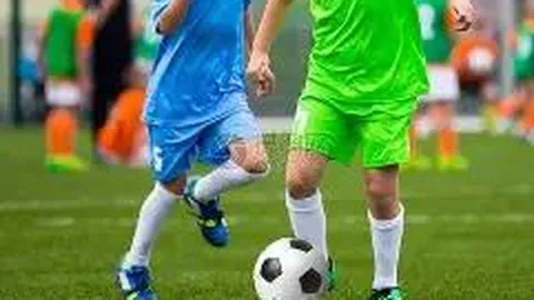 清晨新鲜健康之选——农家散养土鸡蛋