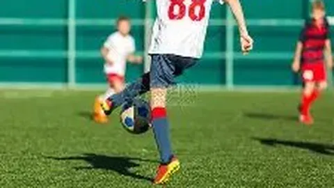 开云体育App 产品 084943 0xy