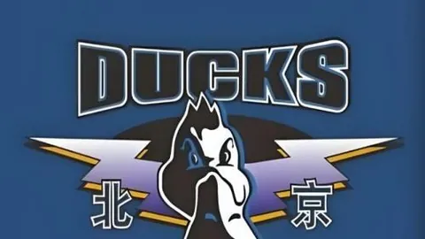 开云体育，开云体育平台， 140821 39